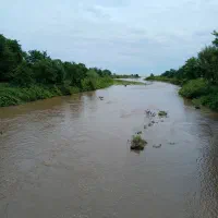 عروس هلندی