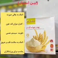 پودر جوانه گندم