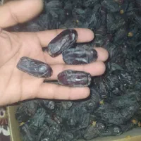 خرمای ربی ماشکید