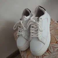 کتونی مدل ونس لژ دار