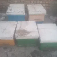 کندو عسل