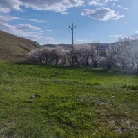 ماشین برگشتی  از همدان به سنندج
