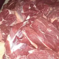 گوشت تازه و گرم گوساله و تلیسه به قیمت کشتارگاه