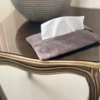 جا دستمال کاغذی