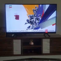تلوزییون