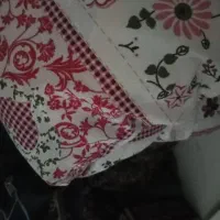۴عدد تشک