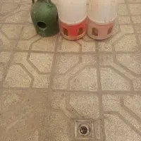 آبخوری و دانخوری پرنده مرغ و خروس