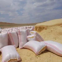 کاه گندم دیم ارسال از کردستان قیمت مناسب