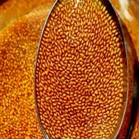 خاکشیر تازه و تمیز