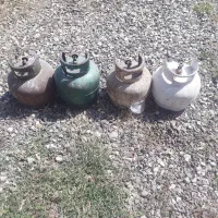 پیک نیک