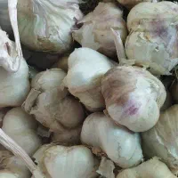 سیر همدان
