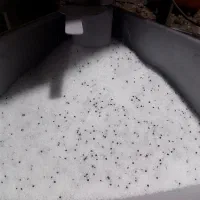 استخدام کارگر