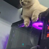 نصب ویندوز و نرم افزار و اسمبل در محل