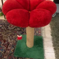 اسکراچر گربه مدل گل