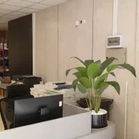 پرینت با قیمت اقتصادی