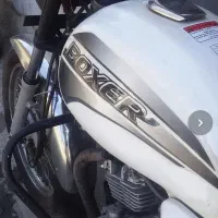 باکسر ۹۴ سالم