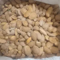 بادام درختی کوهستانی ارگانیک ارگانیگ