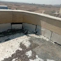 کبوتر