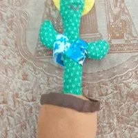 کاکتوس رقصنده