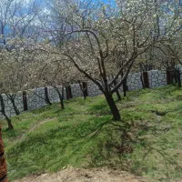 باغ350متری درحیدره بالای حیدره