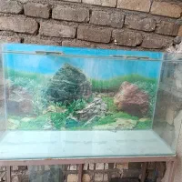 آکواریوم