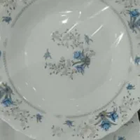 بشقاب ارکوپال ابی گود