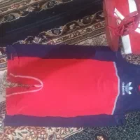 رضا زمردی