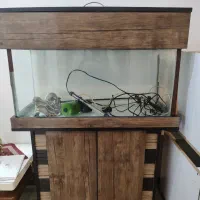 اکواریوم ماهی فروشی