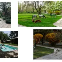 باشگاه-سوارکاری-و-پرورش-اسب-کردان