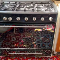 گاز پنج شعله  فردار دوجوجه گردان