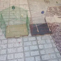 قفس کلبه ای قناری وعروس هلندی و مینا...