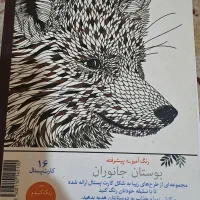 کتاب مقوایی رنگ آمیزی
