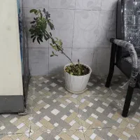 مغازه گردخون