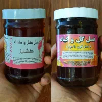 عسل های گیاهی درمانی درصد بالا(حراج)