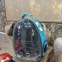 لوازم نگهداری از  پت