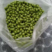 نخودفرنگی