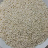 علی کاظمی،کشاورز هستم