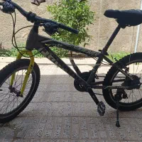 دوچرخه 20 ریباک
