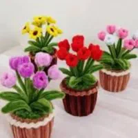 گل‌های مخملی