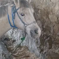 گه‌ور بو حیوان ولاغ