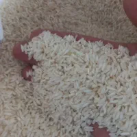 برنج علی کاظمی خالص