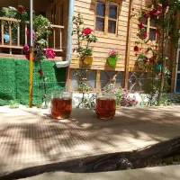 مدیر اجرایی و شریک کارآفرین بدون نیاز به سرمایه