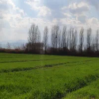 زمین-کشاورزی