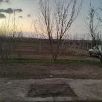 فروش باغ انگور۳۷۰۰ در قاریاغدی