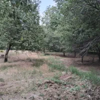 ۳۰ من باغ در آذرشهر