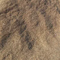 کاه سیاه دانه وعدس