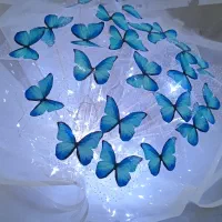 دسته گل جاودان وپروانه ای