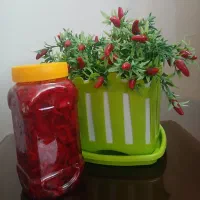 ترشی کلم بنفش مفت مفت