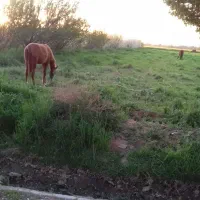 سه هزارمترزمین مشاهیر