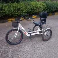 سه چرخه بزرگسال